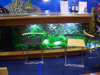 table counter aquarium